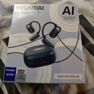 Hyundai Fit 2 Wireless Earphones - Black